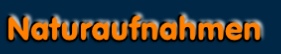 Naturaufnahmen
